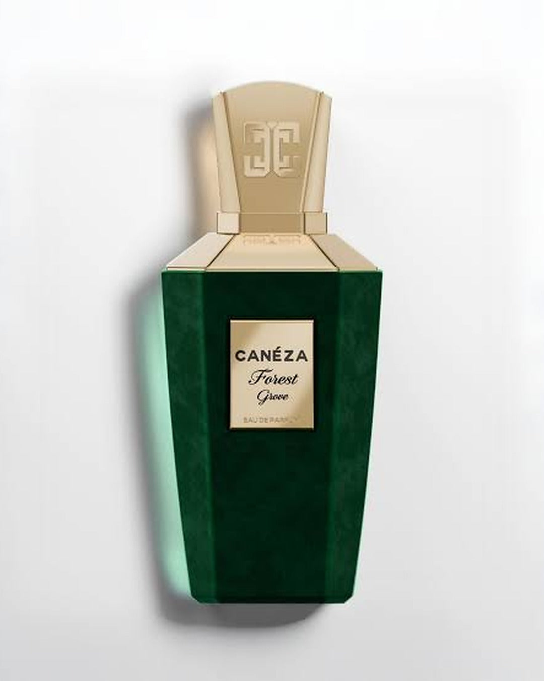 CANEZA FOREST GROVE EDP 3.4 OZ